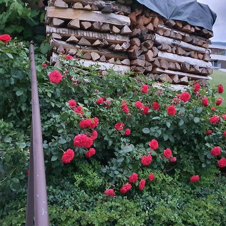 Dreamlandranch Vorarlberg Apartment Schlins Екстериор снимка