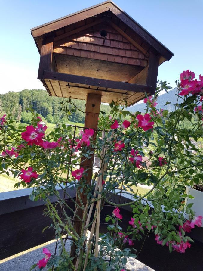 Dreamlandranch Vorarlberg Apartment Schlins Екстериор снимка